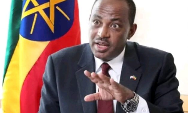 አምባሳደር ሽፈራው ሽጉጤ የትምህርትና ሥልጠና ባለሥልጣን ዋና ዳይሬክተር ሆነው ተሾሙ