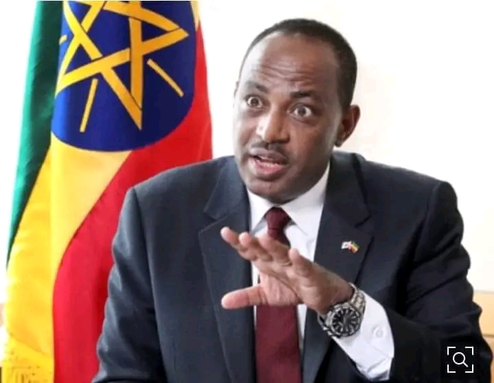 አምባሳደር ሽፈራው ሽጉጤ የትምህርትና ሥልጠና ባለሥልጣን ዋና ዳይሬክተር ሆነው ተሾሙ